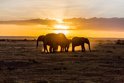 mugie_conservancy01.jpg